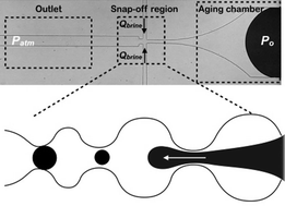 Graphical abstract: A microfluidic flow focusing platform to screen the evolution of crude oil–brine interfacial elasticity