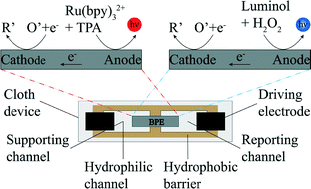 Graphical abstract: A low-cost, ultraflexible cloth-based microfluidic device for wireless electrochemiluminescence application
