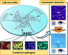 Graphical abstract: Fully automated and colorimetric foodborne pathogen detection on an integrated centrifugal microfluidic device