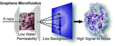 Graphical abstract: Graphene-based microfluidics for serial crystallography