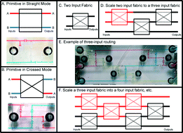 Graphical abstract: A reconfigurable continuous-flow fluidic routing fabric using a modular, scalable primitive