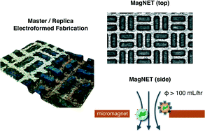 Graphical abstract: Magnetic Nickel iron Electroformed Trap (MagNET): a master/replica fabrication strategy for ultra-high throughput (>100 mL h−1) immunomagnetic sorting