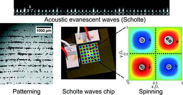 Graphical abstract: A simple acoustofluidic chip for microscale manipulation using evanescent Scholte waves