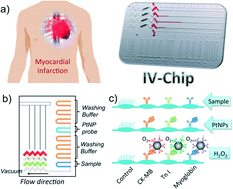 Graphical abstract: Integrative volumetric bar-chart chip for rapid and quantitative point-of-care detection of myocardial infarction biomarkers