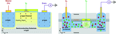 Graphical abstract: Field effect nanofluidics