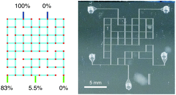 Graphical abstract: Random design of microfluidics