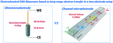 Graphical abstract: Electrochemical DNA biosensors based on long-range electron transfer: investigating the efficiency of a fluidic channel microelectrode compared to an ultramicroelectrode in a two-electrode setup