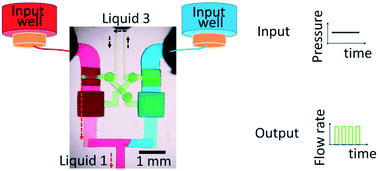 Graphical abstract: Water-head-driven microfluidic oscillators for autonomous control of periodic flows and generation of aqueous two-phase system droplets