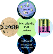 Graphical abstract: Polymerase chain reaction in microfluidic devices