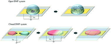 Graphical abstract: An electrohydrodynamic technique for rapid mixing in stationary droplets on digital microfluidic platforms