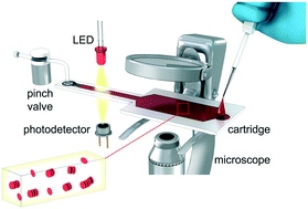 Graphical abstract: A portable microfluidic system for rapid measurement of the erythrocyte sedimentation rate