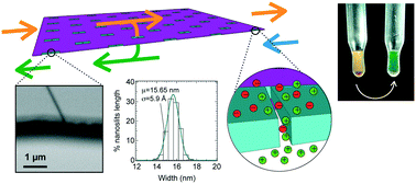 Graphical abstract: Continuous high throughput nanofluidic separation through tangential-flow vertical nanoslit arrays