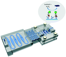 Graphical abstract: Automated 3D-printed unibody immunoarray for chemiluminescence detection of cancer biomarker proteins