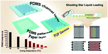 Graphical abstract: Microfluidic PDMS on paper (POP) devices