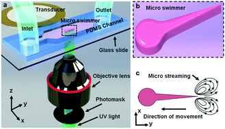 Graphical abstract: Acoustic actuation of bioinspired microswimmers
