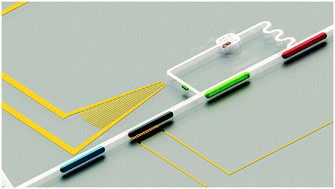Graphical abstract: Surface acoustic wave enabled pipette on a chip