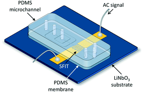 Graphical abstract: Acoustothermal tweezer for droplet sorting in a disposable microfluidic chip