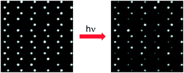 Graphical abstract: Photobleaching kinetics-based bead encoding for multiplexed bioassays