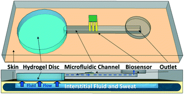 Graphical abstract: Hydrogel-enabled osmotic pumping for microfluidics: towards wearable human-device interfaces