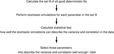 Graphical abstract: Parameter identification using stochastic simulations reveals a robustness in CD95 apoptotic response