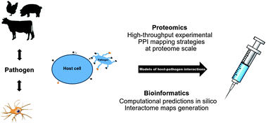 Graphical abstract: High-throughput proteomics and the fight against pathogens