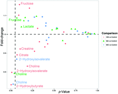 Graphical abstract: Metabolomic changes in CSF of migraine patients measured with 1H-NMR spectroscopy