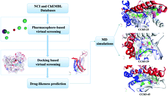 Graphical abstract: Identification of potential CCR5 inhibitors through pharmacophore-based virtual screening, molecular dynamics simulation and binding free energy analysis