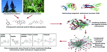 Graphical abstract: Network pharmacology-based virtual screening of natural products from Clerodendrum species for identification of novel anti-cancer therapeutics
