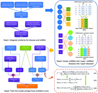Graphical abstract: A novel computational model based on super-disease and miRNA for potential miRNA–disease association prediction