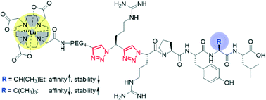 Graphical abstract: Radiolabeled analogs of neurotensin (8–13) containing multiple 1,2,3-triazoles as stable amide bond mimics in the backbone