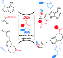 Graphical abstract: Design and synthesis of DNA-encoded libraries based on a benzodiazepine and a pyrazolopyrimidine scaffold