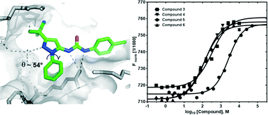 Graphical abstract: Biophysical investigation and conformational analysis of p38α kinase inhibitor doramapimod and its analogues