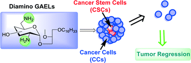 Graphical abstract: Design, synthesis and evaluation of cytotoxic properties of bisamino glucosylated antitumor ether lipids against cancer cells and cancer stem cells