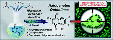 Graphical abstract: Microwave-enhanced Friedländer synthesis for the rapid assembly of halogenated quinolines with antibacterial and biofilm eradication activities against drug resistant and tolerant bacteria