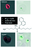 Graphical abstract: Aryl-alkyl-lysines: small molecular membrane-active antiplasmodial agents