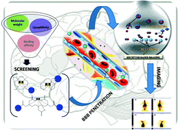 Graphical abstract: Mapping neuroreceptors with metal-labeled radiopharmaceuticals