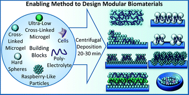 Graphical abstract: Enabling method to design versatile biomaterial systems from colloidal building blocks
