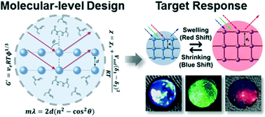 Graphical abstract: Design and functionalization of responsive hydrogels for photonic crystal biosensors