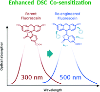 Graphical abstract: Molecular engineering of fluorescein dyes as complementary absorbers in dye co-sensitized solar cells