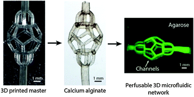 Graphical abstract: Replicating 3D printed structures into hydrogels
