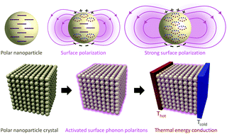 Graphical abstract: High thermal conductivity in polaritonic SiO2 nanoparticle beds