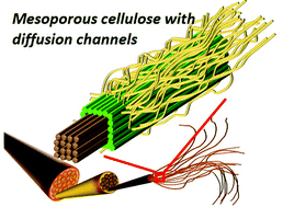 Graphical abstract: 3D network of cellulose-based energy storage devices and related emerging applications