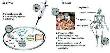 Graphical abstract: Toxicological aspects of soluble titanium – a review of in vitro and in vivo studies