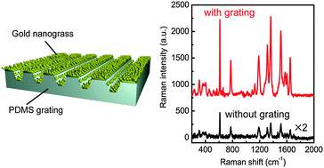Graphical abstract: Highly sensitive and uniform surface-enhanced Raman spectroscopy from grating-integrated plasmonic nanograss