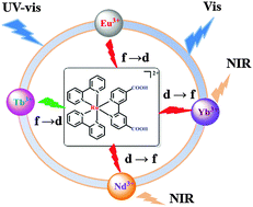 Graphical abstract: Observation of cascade f → d → f energy transfer in sensitizing near-infrared (NIR) lanthanide complexes containing the Ru(ii) polypyridine metalloligand