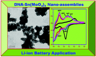 Graphical abstract: Microwave assisted fast formation of Sn(MoO4)2 nano-assemblies on DNA scaffold for application in lithium-ion batteries