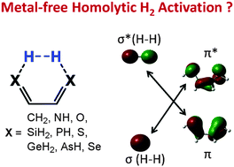 Graphical abstract: Metal-free homolytic hydrogen activation: a quest through density functional theory computations