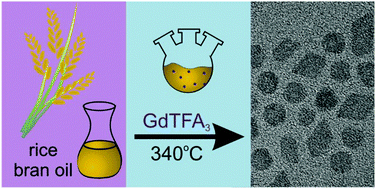 Graphical abstract: Rice oil as a green source of capping ligands for GdF3 nanocrystals