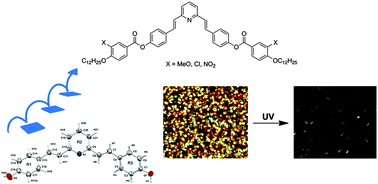 Graphical abstract: Investigation of supramolecular architectures of bent-shaped pyridine derivatives: from a three-ring crystalline compound towards five-ring mesogens
