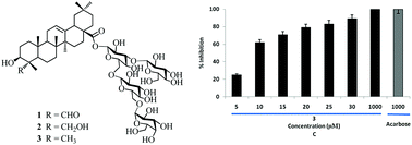 Graphical abstract: Concise synthesis of a new triterpenoid saponin from the roots of Gypsophila oldhamiana and its derivatives as α-glucosidase inhibitors